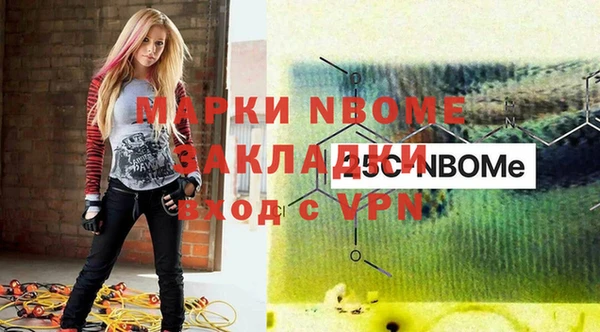 прущие грибы Армянск