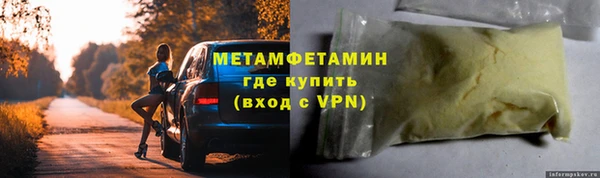 прущие грибы Армянск