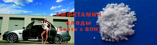 прущие грибы Армянск