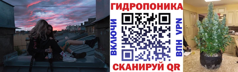Бошки марихуана гибрид  Урюпинск 